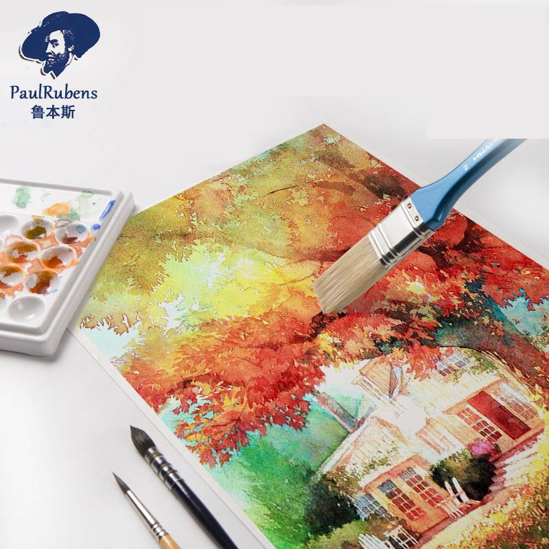 Paul Rubens Chuyên Nghiệp Màu  - đánh giá và giá Ink Blotter Paper