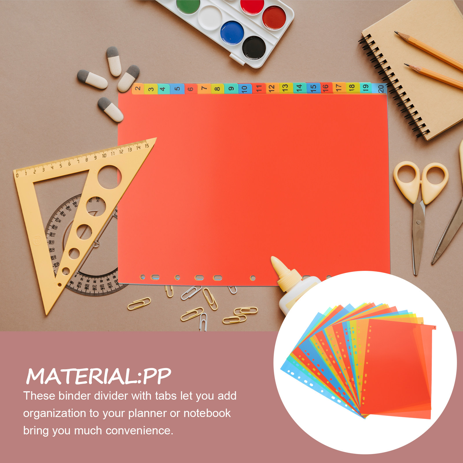 20Sheets A4 Plastic Binder Div - đánh giá và giá Tab Divider A4